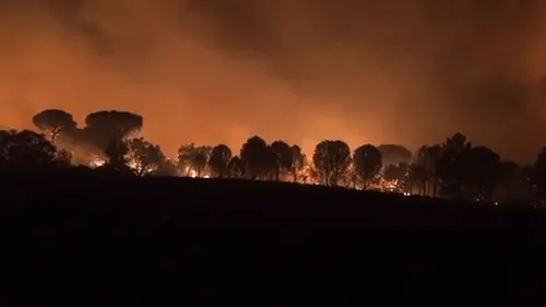 Incendie dans le Var : des milliers de personnes évacuées