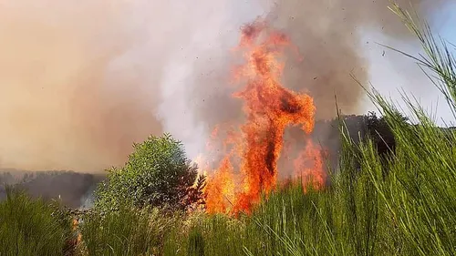 Haute-Vienne : 4 hectares de végétation détruits par les flammes