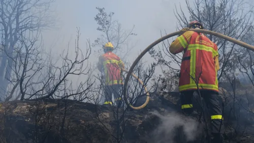 Incendie dans le Var : "anticipé" de dire que des mégots sont à...
