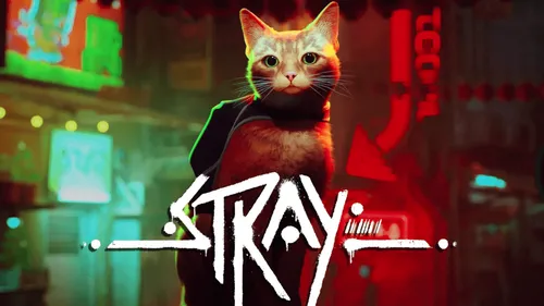 Stray : un jeu vidéo qui a du succès auprès des gamers et des chats