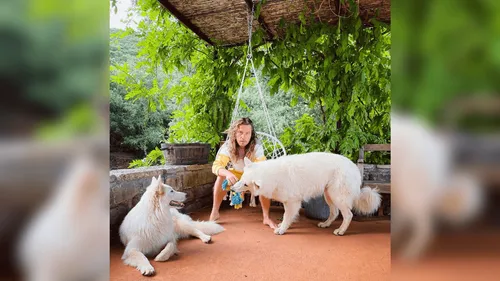 Julien Doré : découvrez la version ASMR de son titre “Waf”