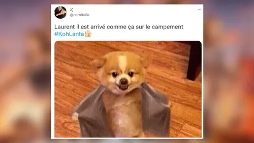 Koh-Lanta, La Légende : les meilleurs tweets de la soirée