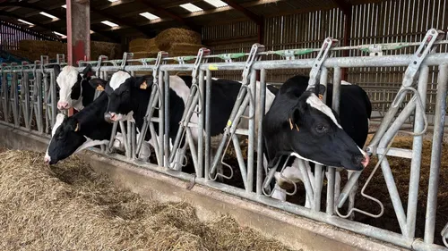 Agriculture : le lait de 330 exploitants des Pays de la Loire ne...