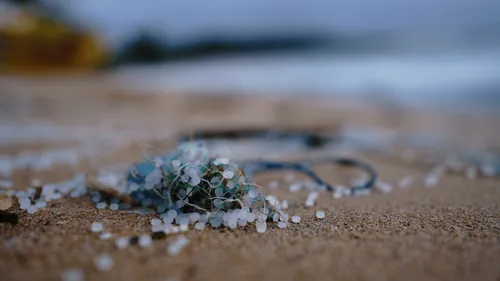 Des billes de plastique observées par milliers sur les plages du...