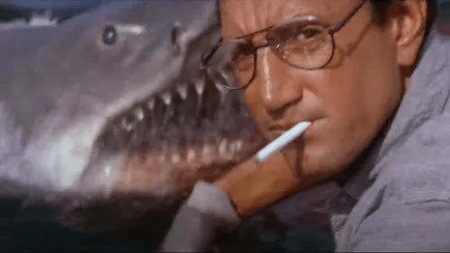 "Les dents de la mer" à la piscine de la Roseraie