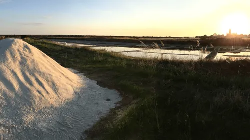 Loto de la biodiversité 2025 : les sites de nos régions retenus