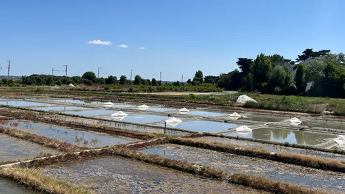 Loire-Atlantique : les marais salants de Guérande débordent 