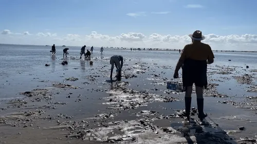 Grandes marées : de forts coefficients attendus sur le littoral...