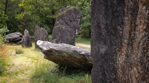 Destruction de menhirs à Carnac : la justice déboute des...
