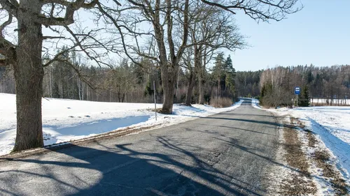 Il a neigé dans l'Ouest cette nuit !