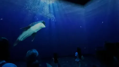 Ces sites touristiques de nos régions rouvrent leurs portes à...