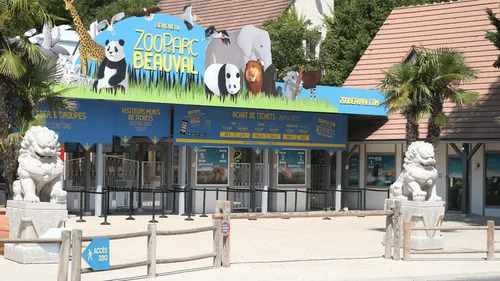 Plus de 700 postes à pourvoir pour la saison 2023 du ZooParc de...