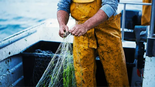 La pêche de nouveau interdite en 2027 dans le Golfe de Gascogne