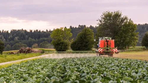 Maine-et-Loire : la société Primaloire condamnée pour intoxication...