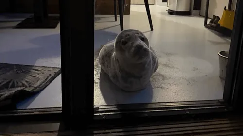 Insolite : en entrant dans sa chambre d'hôtel, elle tombe nez à nez...