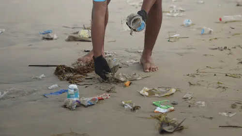 Les dangers insoupçonnés à la plage : le déchet, l'envahisseur...