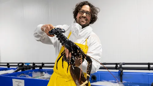 Poiscaille : quelle est cette entreprise de poissons en circuit...