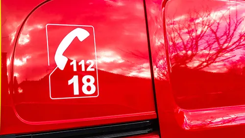 Sarthe : 157 animaux de compagnie tués dans l'incendie d'une...