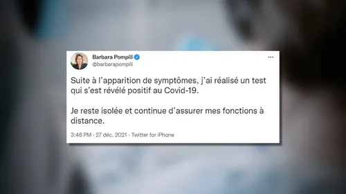 Barbara Pompili, ministre de la Transition écologique, positive au...