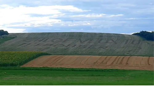 La demande en mariage est dans le pré ! 