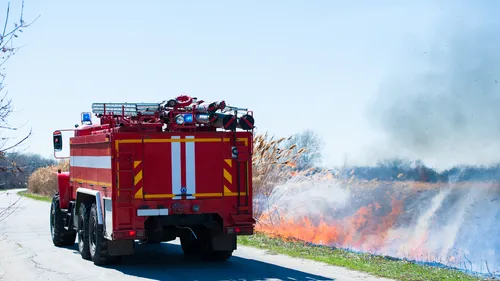 Indre : un incendie ravage 30 hectares de végétation dans la Brenne