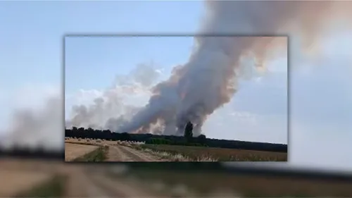 Canicule : près de 100 hectares de forêt brûlés dans un incendie en...