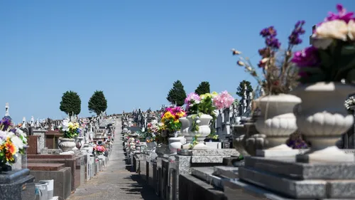 Ils pillaient les cimetières d’Ille-et-Vilaine et de Mayenne : deux...
