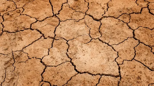 Sécheresse : un triste record révélé