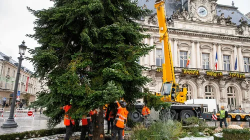 La Ville de Tours à la recherche de son sapin de Noël