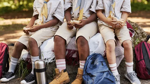 Une association de la Vienne interdite d'organiser des camps de scouts