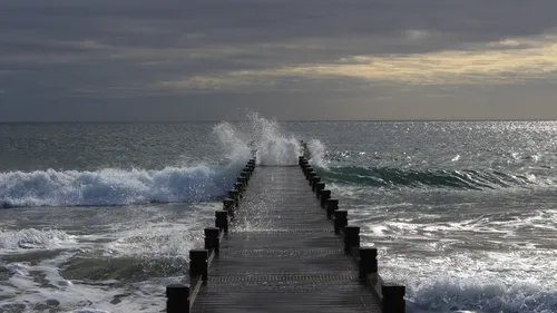 Un poisson d'origine inconnue apparaît en Bretagne, la baignade est...