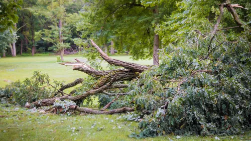 Domingos : une nuit moins agitée mais de fortes rafales de vent et...