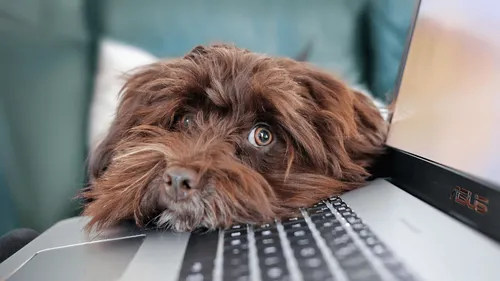 Fin du "nombre de jours minimal" obligatoire de télétravail à...