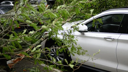 Tempête Aurore : 250 000 foyers privés de courant