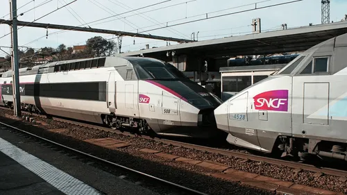 Des trains roses pas chers entre Nantes et Paris !