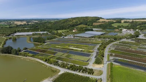 Vendée : pour ses 70 ans, la pépinière Ripaud ouvre son site de...
