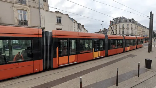 Le Mans : il arrête le tramway pour récupérer son lapin à...