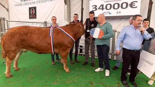Une vache à 34.000 euros