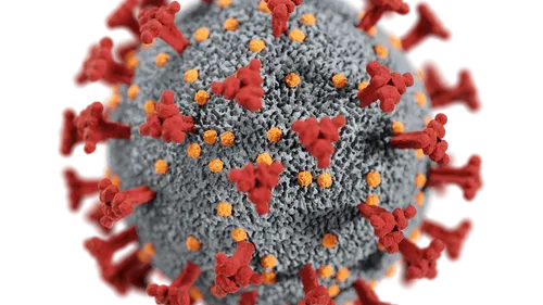 Covid-19 : un nouveau variant découvert dans le Finistère