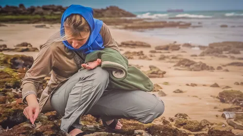 Vendée : des coquillages interdits à la pêche et à la consommation