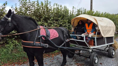 Ardennes - Ils parcourent 95 kilomètres en calèche à travers les...