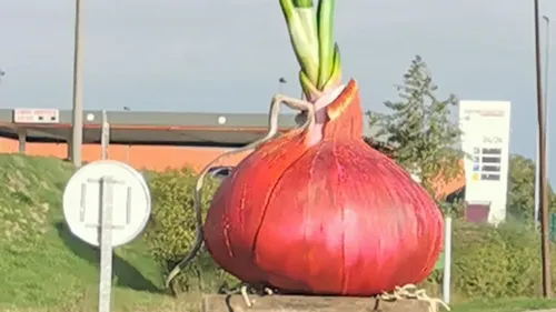 Pourquoi il y a un oignon géant à Givet ?