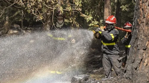 Ardennes - Le 3ème RG en pleine opération "Sentinelle Feux de Forêt"