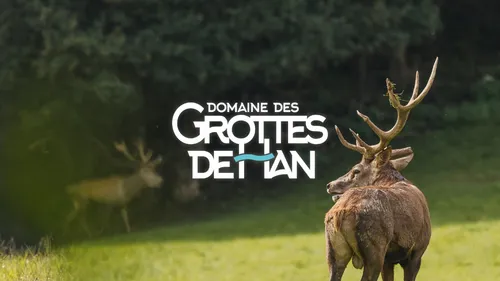 Gagnez vos places pour les Grottes de Han