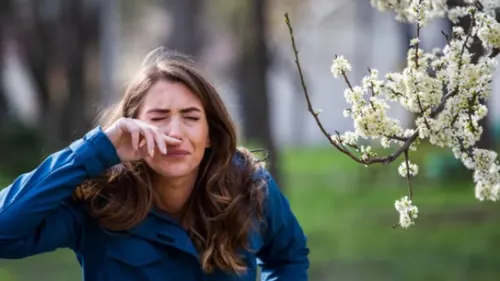 La saison des pollens de bouleau démarre avec près de 3 semaines...