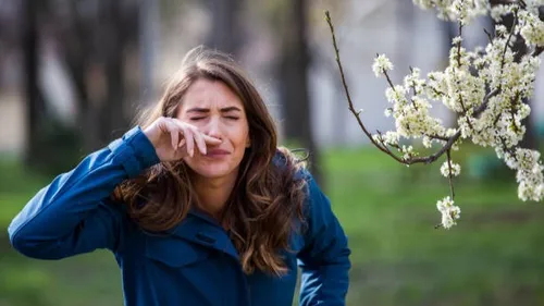 Alerte rouge pour le pollen de bouleau dans la région