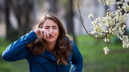 Alerte aux pollens de graminées : un pic est attendu ce jeudi