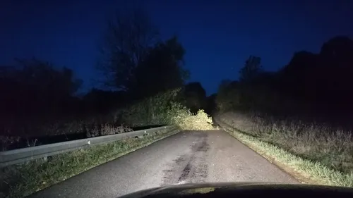 Tempête : parcs fermés dans plusieurs communes de la région