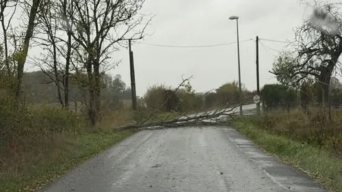 Ardennes – Plusieurs dégâts ce vendredi à cause des vents violents