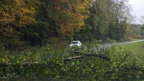 Tempête Benjamin : quelques dégâts dans la région